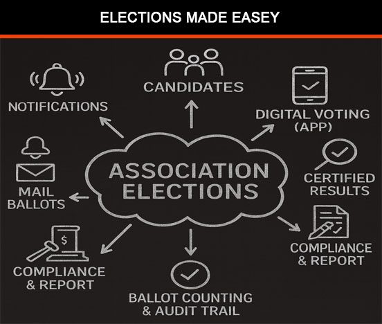 Elections Process